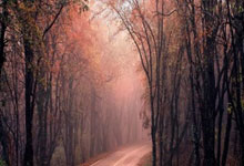 亚冬会｜体育为媒，推动亚洲文化深度交流——专访泰国代表团团长苏披实·萨迈希托新华社.