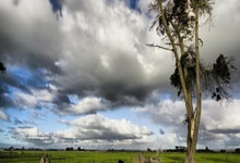 征途国际：赛后对骂，多人被重罚！中新体坛.