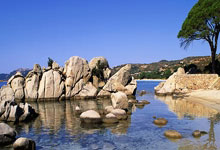 征途国际：无奈！江苏女排有情有义，刁琳宇病床上领奖，将缺席国家队集训.